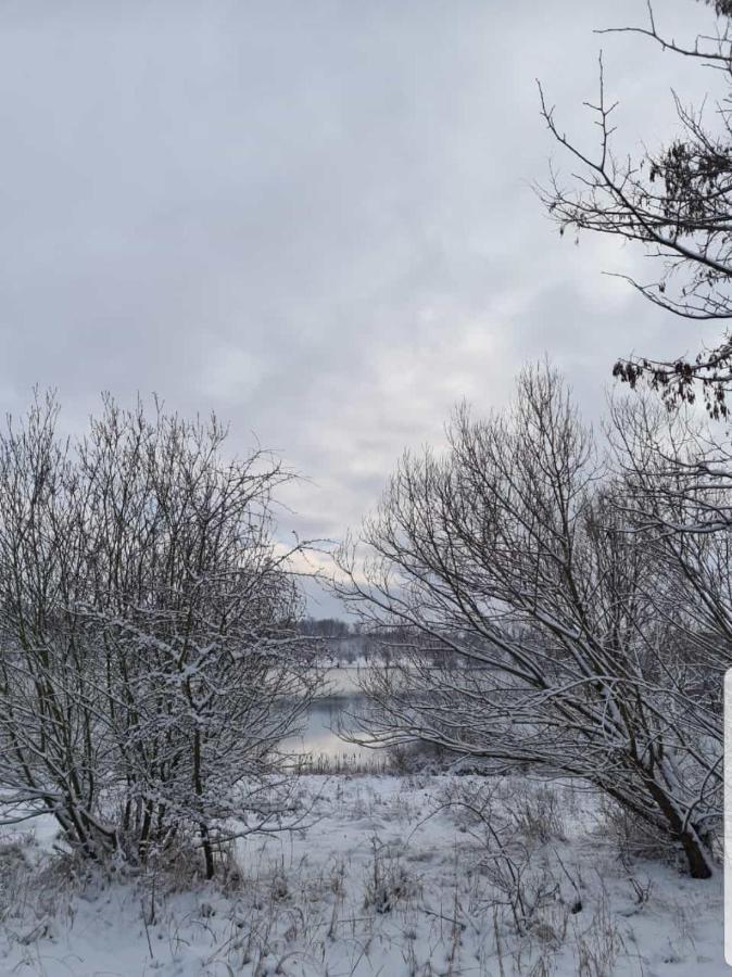 "Altes Stellwerk Frose" Am Froser See Eksteriør billede
